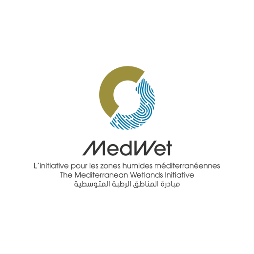 MedWet-logotipo-3-language-color
